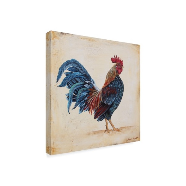 Jean Plout 'Rooster 2' Canvas Art,18x18